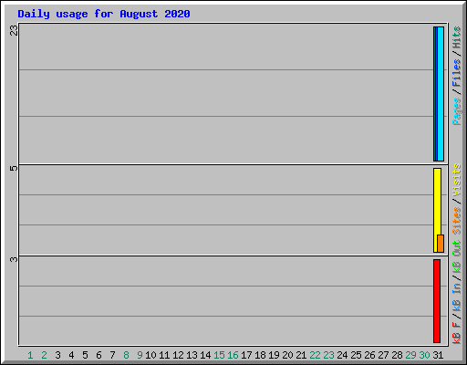 Daily usage for August 2020