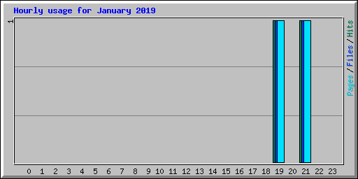 Hourly usage for January 2019