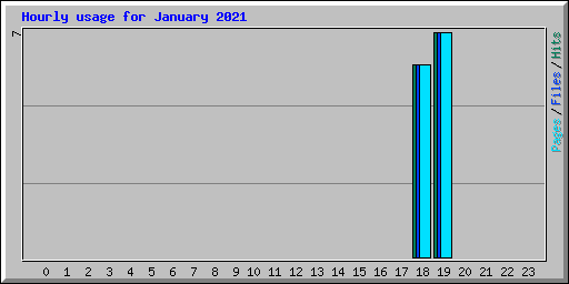 Hourly usage for January 2021