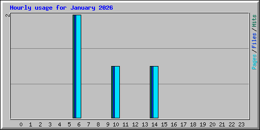 Hourly usage for January 2026